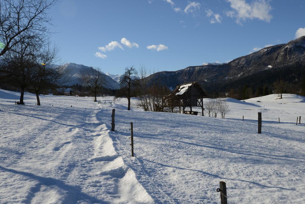 Apartment Dijak Bohinj Exterior foto